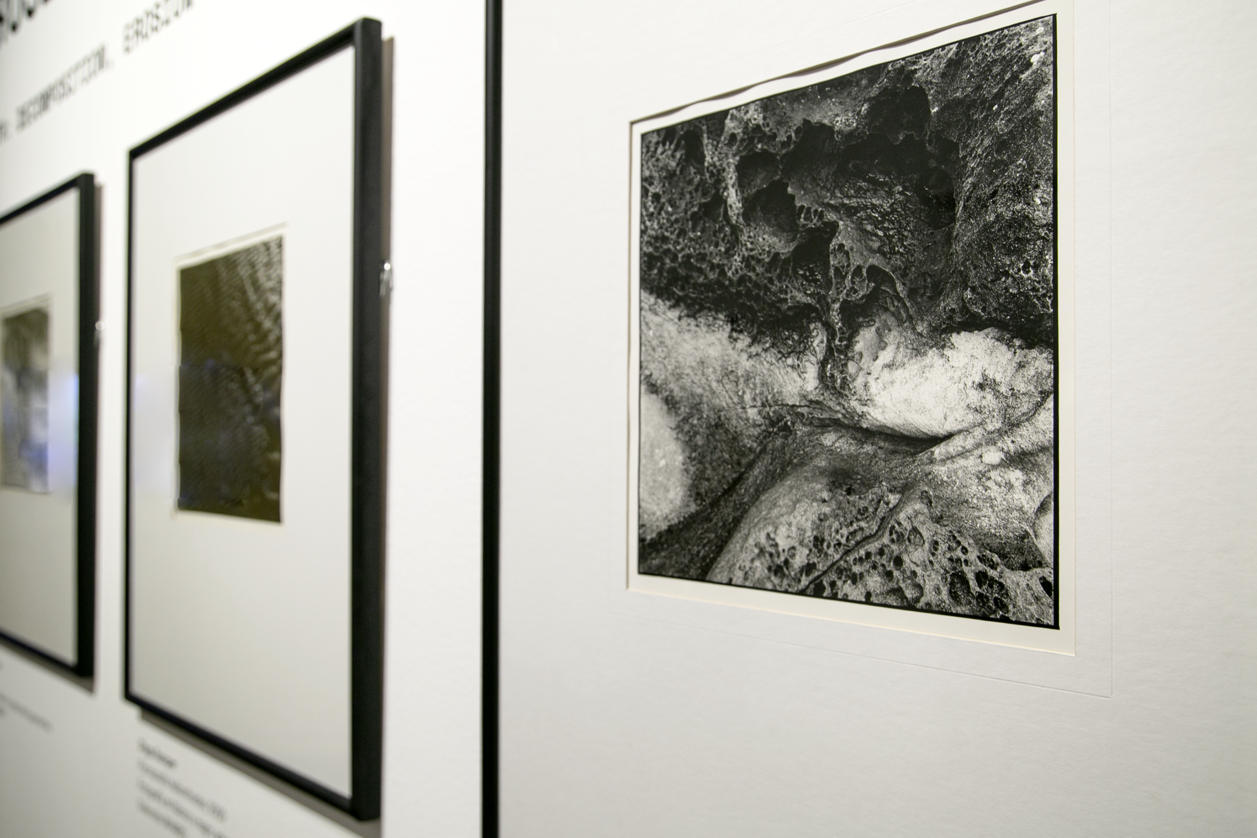 COLLECTION - Image 3